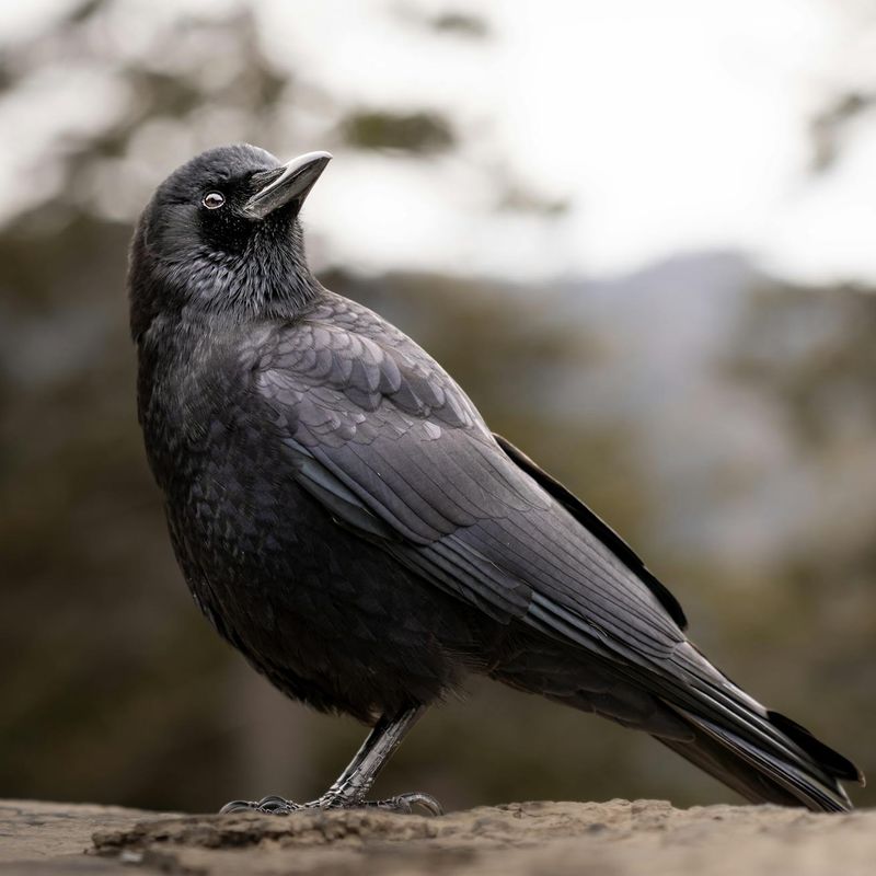 Close up of eye training accessories on dark background